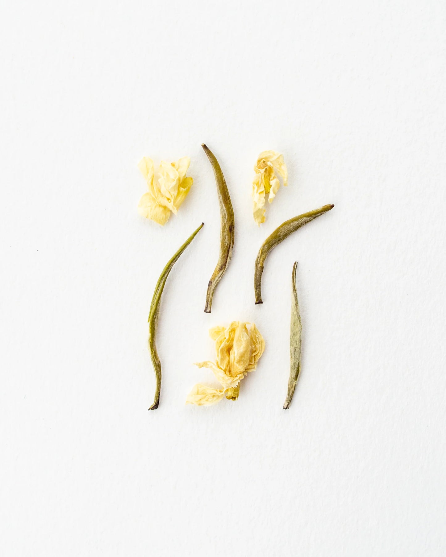 Falling Snow Jasmine White Tea