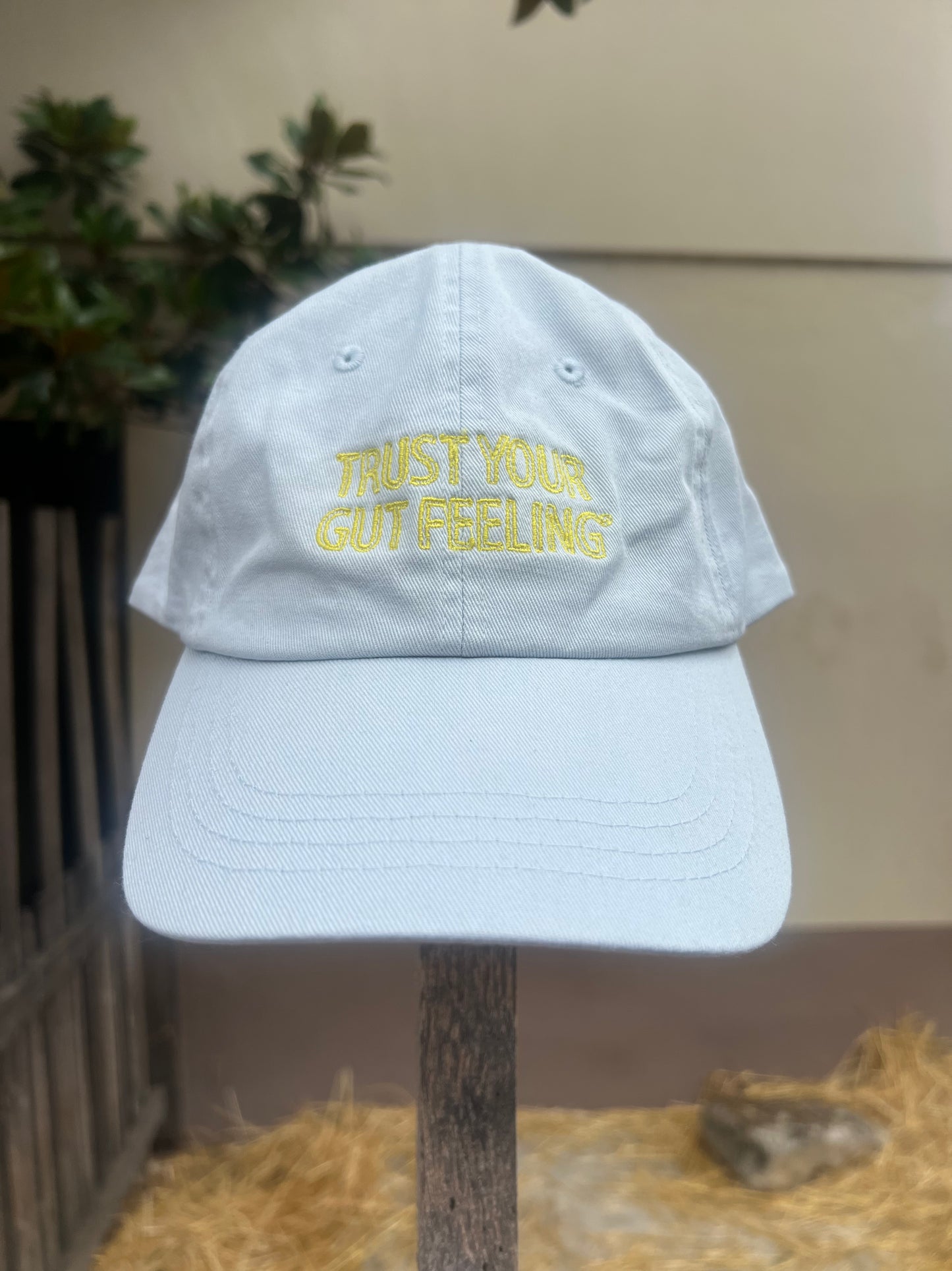 Trust Your Gut Feeling® Cap