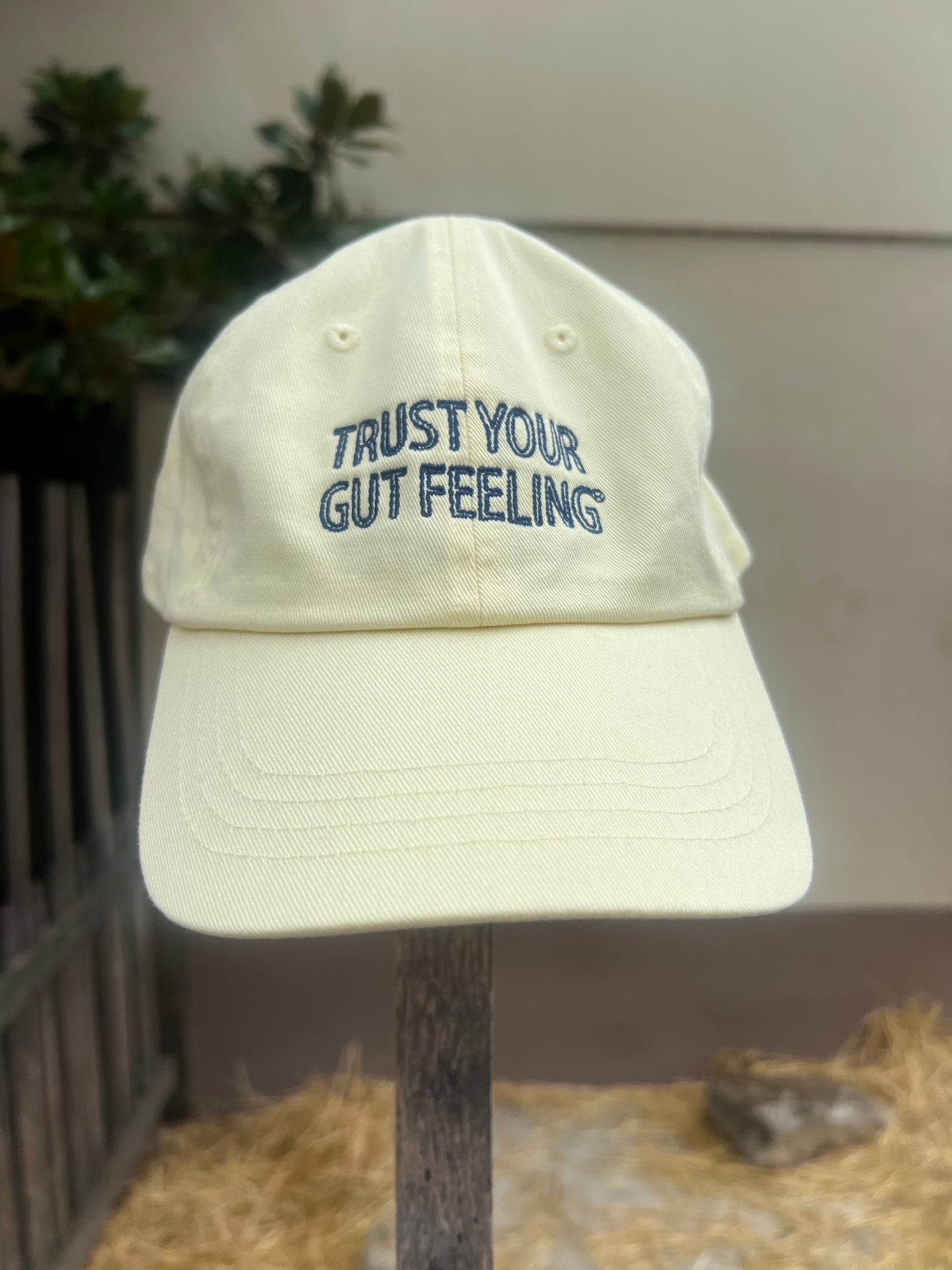 Trust Your Gut Feeling® Cap