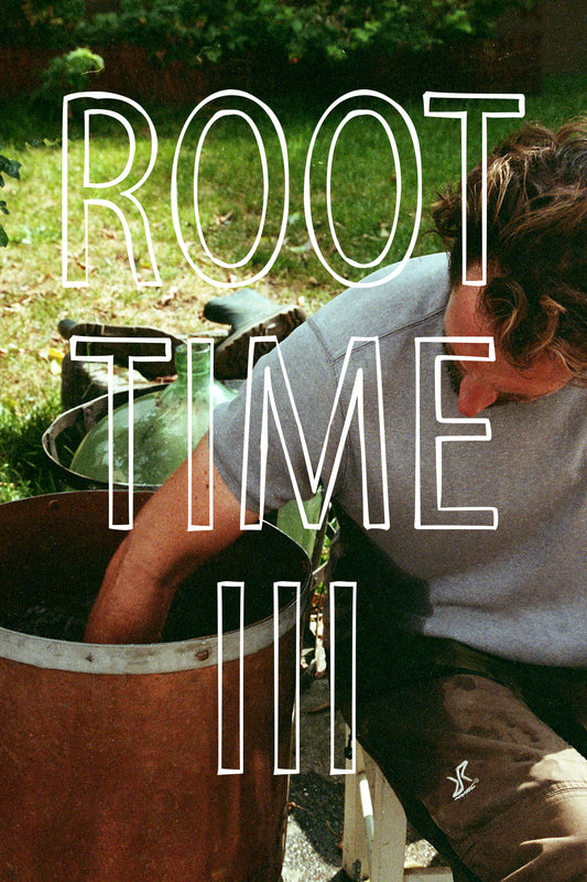 root-time August